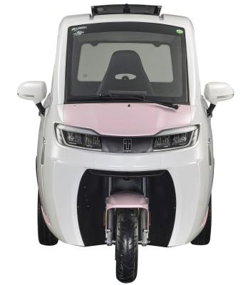 China Wholesale Fully Enclosed Electric Cargo EEC New Energy Tricycles Cargo for sale