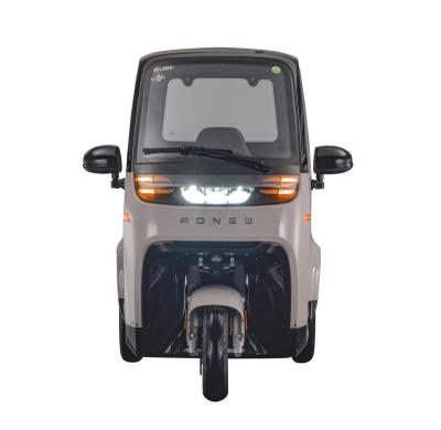 China Beautiful Cargo Appearance And Safe Driving Electric Tricycle Three Wheel For Adult for sale