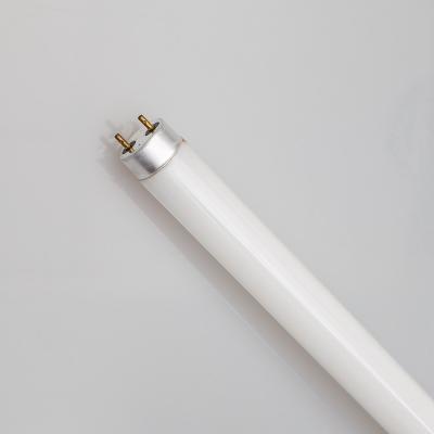 China Energy Saving Tubular T5 28W G5 Tube Base 4100K Warm Light Fluorescent Lamp for sale