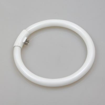 China T5 Circle Tubes 40W G10q Lamp 6500K Daylight Fixture Fluorescent Tube Circle Tube for sale