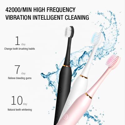 China IPX7 Waterproof Hotel and Household Brush Adults and Children with 6 Modes Teeth Care and 4 Heads Sonic Electric Toothbrush Rechargeable Automatic Brush for sale