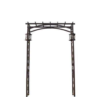 China Heavy Type Easily Assembled Hot Sale Metal Outdoor Garden Arch Landscaping Freestyle Arch For Decorative Garden for sale