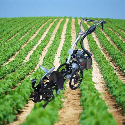 China Agriculture Hot Machine Factory Popularity Mini Plow Power Tiller With Good Price for sale