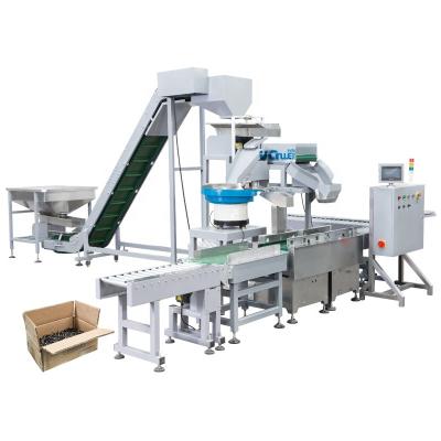 China Automatic Food 10kg 15kg 20kg 25kg Big Weigh Boxing Filling Packing System For Bindings for sale