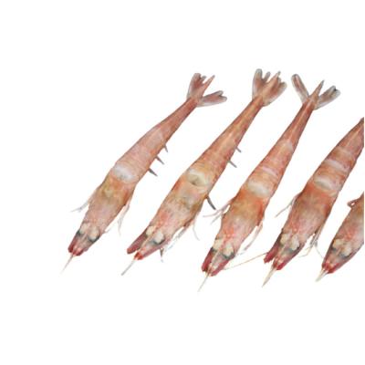 China Wholesale Good Quality Frozen Sakura Shrimp Appropriate Prices FROZEN for sale