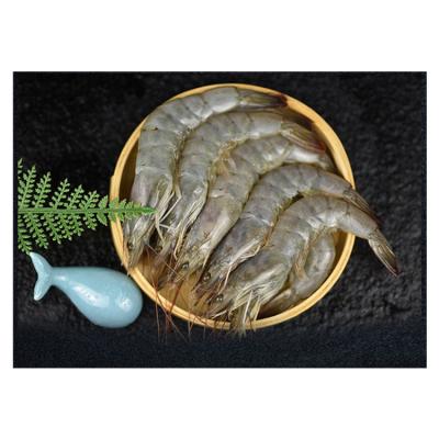 China Hot selling price JELLY Prawn Penaeus Vannamei with good quality for sale