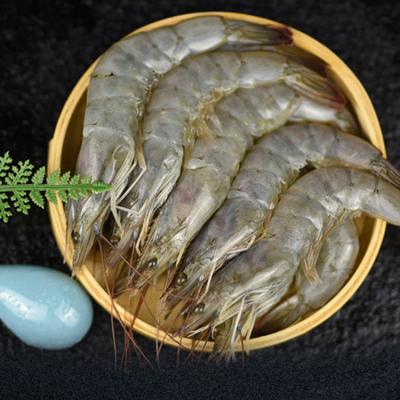 China Top Selling Guaranteed Quality Boreal Mantes Headless Shrimp Frozen Chunk for sale