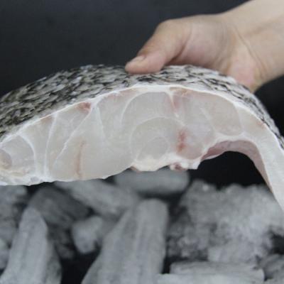 China Low-CARB Made in China Top Quality Knife Tilapia Filleting Fish Fillet for sale