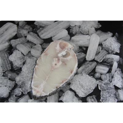 China Special Hot Selling Low-CARB SXZ-3 BQF Fresh Frozen Seafood Fish for sale