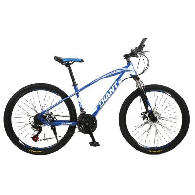 China 2020 new street speed sport variable bicycle/adult cross-country mountain bike bicycle for sale