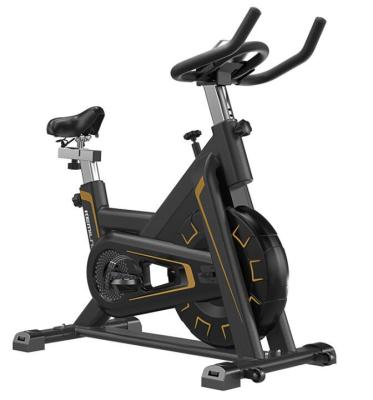 China Professional Equipment Indoor Exercise Distance Fitness Spinning Bike Flywheel Full Covered Magnetic Spinning Bike for sale