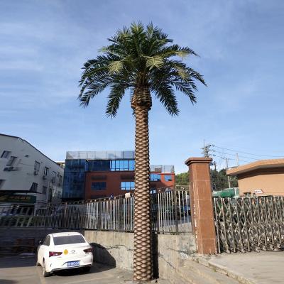 China Club Customize Canada Outdoor Decorative Large Palm Tree Tall Garden Palm Cheap Palmeras Artificiales for sale