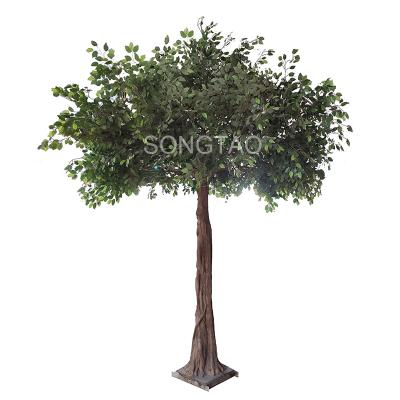 China Indoor Garden Benjamin Leaf Artificial Ficus Tree Decorative Silk Plant for sale