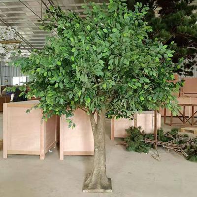 China Bent Artificial Ficus Trees For 2.5 Meter Height Minimalist Arbol Decor Gardening Wedding And Event for sale