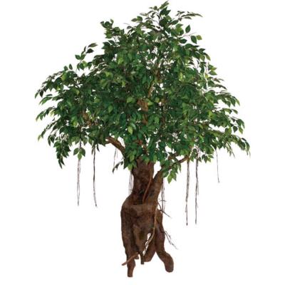 China New Style Contemporary Wholesale Indoor Outdoor Mini Plastic Bonsai Plant Ficus Tree For Sale for sale