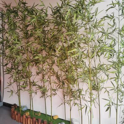 China Factory Wholesale 3M Outdoor Fence Decoration Plastic Bamboo Landscaping Leaves Plant Artificial Tree for sale