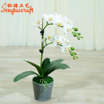 China Landscaping Artificial Fake Phalaenopsis Orchid Plants White Flowers Wholesale Latex 3D Real Touch For Sale for sale