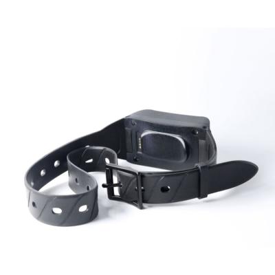 China Find Your High Quality Outdoor Hunting Dog Location LKGPS Hunting LK880 Pets Dog Collar With Location Functions And Gps 4g Tracking Equipment for sale