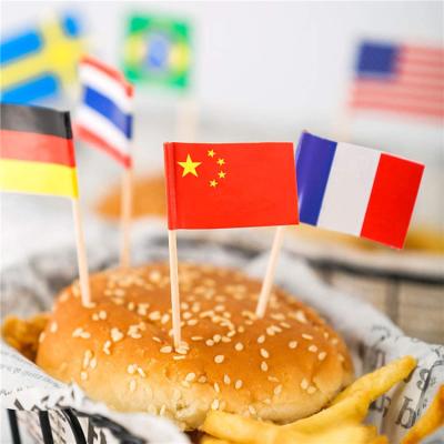 China Disposable Estick Printing Pride Party Paper Food Cheese Marker Sandwich Burger Toothpick Commercial Flags with Custom Printing for sale