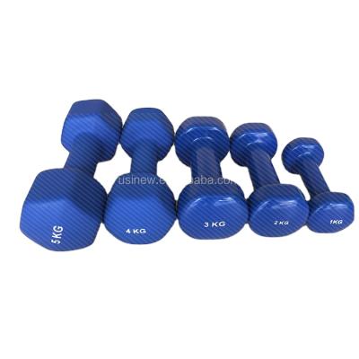 China Dumbbell Good Quality New Design Vinyl Plastic Cast Iron Dip Dipped Dumbbell for sale