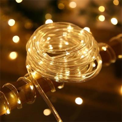 China Other Hot Sale Manual Control Tube Shape Led Window Curtain String Light for sale