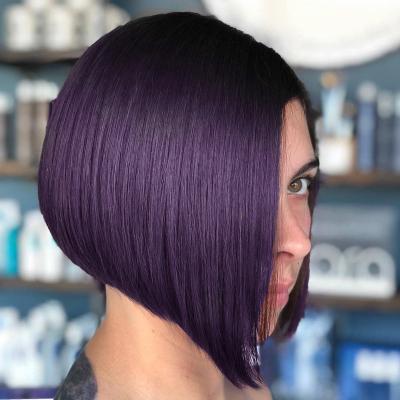 China Bob Whole Sale Vendors Complete Synthetic Pixie Purple Wigs For Black Women Elastic Lace Hair Wig Synthetic Vending Machine for sale