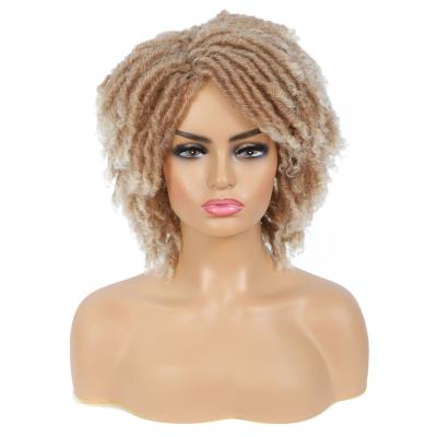 China Custom Made Machine Made African Pixie Curly Extension Hair Products Braiding Wigs Natural Elastic Lace Hair Wigs for sale