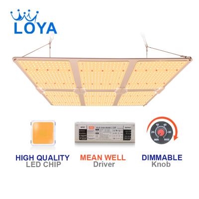 China Seed Starting Hot Sales High Quality 450 Watt Full Spectrum Chip Growth Light Diods Lef Netherlands LED Liffht Module Similar Growth Light for sale