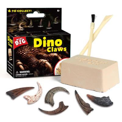 China 6 Assorted Dino Claws Kindergarten DIY Learning Educational Science Toy Dinosaur Fossil Bones Excavation Dig STEM Kit for sale