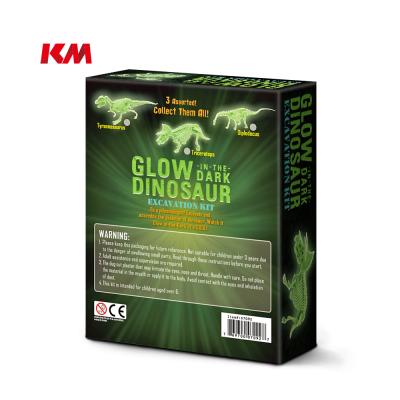 China 3 Assorted Dig Dinosaur Dig Toys Kit For Kid's Mini DIY Glow In The Dark Big Science Dino Excavation Kit for sale