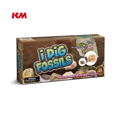 China 12 Asst. FOSSIL DIG KIT 12 ASST Excavation Kit Science Toys Educational Other Kilometer I DIG Toys For Children for sale