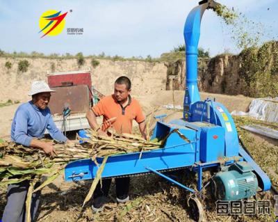 China Raises Hot Sale Corn Straw Cutter / Chaff Cutter For Corn Straw for sale