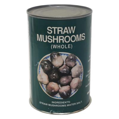 China Wholesale High Quality 425G Canned Canned Vegetables Canned Straw Mushroom for sale