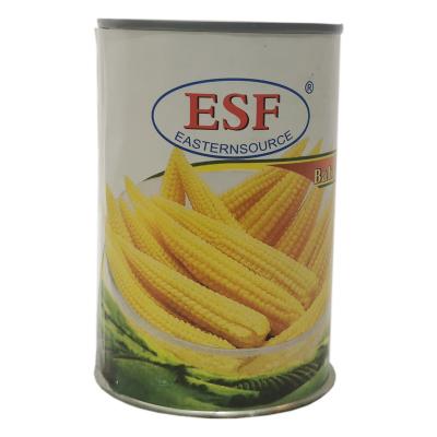 China OEM Canned Canned Vegetables Wholesale High Quality Canned Young Corn Canned Baby Corn for sale