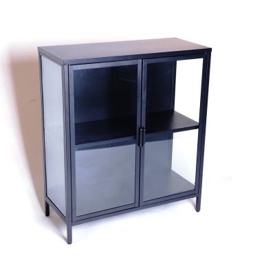 China Easy Assemble Easy Assemble Reliable Quality Black Iron Lead Glass Storage Cabinet for sale