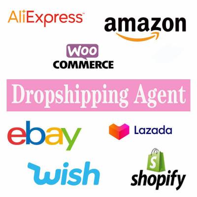 China Freelance warehouse deep experience high quality dropshipping agent dropshipping service with linking API for shopify Amazon for sale