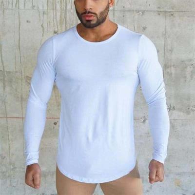 China Hot Sale Anti-Wrinkle Comfort Custom Sports Streetwear Simple Gym Men's Long Sleeve T-Shirt Long Sleeve Male for sale