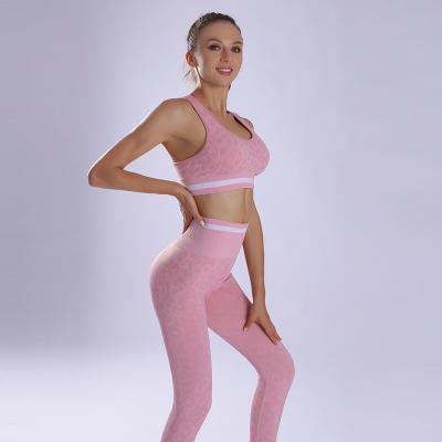 China New Design Breathable Women Plus Size Leopard Grain Stretch Skinny High Slim Fitness Yoga Wear Seamless Set for sale