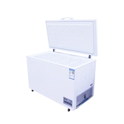 China Popular Single-temperature Commercial Refrigerators and Deep Food Containers Restaurant Cabinet Chest Freezer for sale