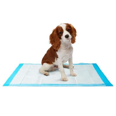 China Outdoor Training Quick Dry Stocked 5 Layer Leak Proof Dog Puppy Potty Pee Pads For Dogs for sale