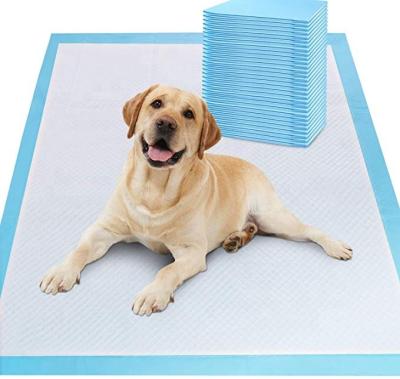 China Stocked Quickly Drying Disposable Pet Training Pad Underpad Puppy Pads for sale