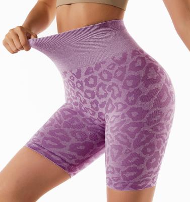 China Leopard Grain Breathable Shorts Cuffs Opaque Thin Yoga Cycling Pants For Women Yoga Biker Shorts Seamless Tights Gaiters for sale