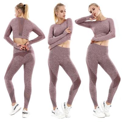 China Women Breathable Winter Long Sleeve Crop Top And Knitted 2 Piece Activewear Set Tight Fitted Gaiters Seamless Yoga Fitness Pant Sets Brown for sale