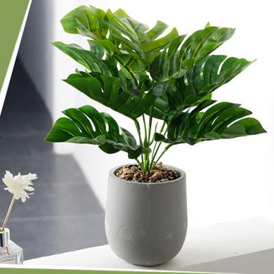 China Natural Touch Artificial Monstera Green Dill Indoor Plant Hot Selling Artificial Plant For Indoor Decor for sale