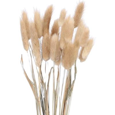 China Wholesale Natural Home Decoration Pampas Grass Touch White Natural Dry Flowers Pampas Grass For Wedding Decoration for sale