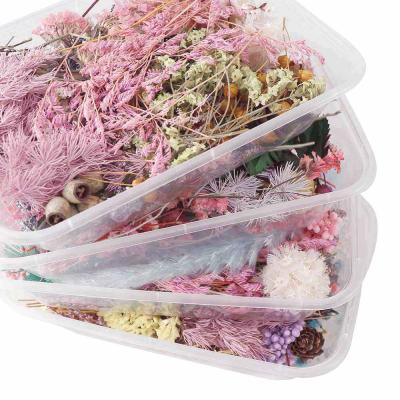 China DIY Real Natural Wholesale Candle Making Kit Dry Rose Flower Dried Flower Dried Flowers For Candle Wedding Decoration for sale