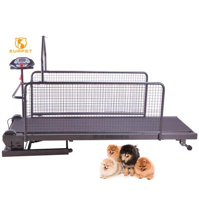 China Stocked EURPET Folding Cheap Pet Treadmill Cat Dog Walking Treadmill for sale