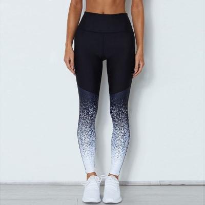 China Dropshipping Seamless Antibacterial Women Gym Wear New Arrive Wholesale Fitness Clothing Gradient Yoga Pants for sale