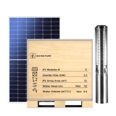 China Home 2.2KW SOLAR WATER PUMP KITS with smart APP monitor and solar mounting system off-grid solar system for deep well and agriculture for sale