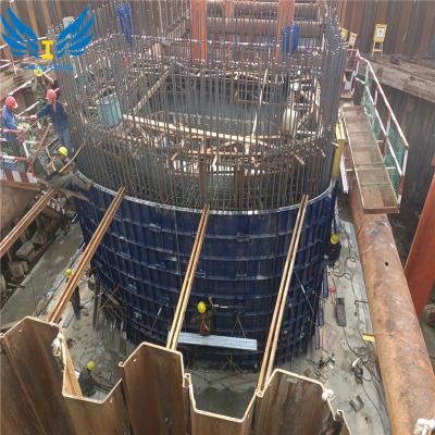 China Repeatedly Turnover Heavy Duty Steel Formwork For Bridge Pier Formwork for sale